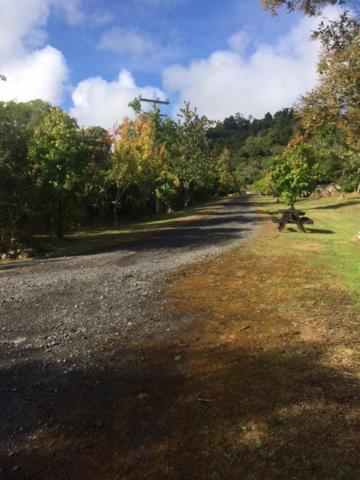 Tui Glen Villa Raurimu Exterior foto